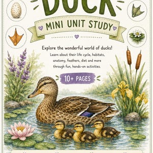 Étude sur le cycle de vie du canard | Activités nature pour la maternelle (Téléchargement numérique)