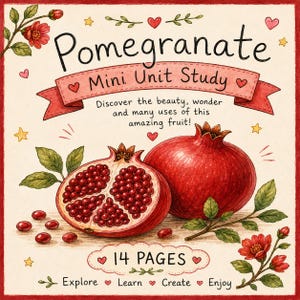 Puede incluir: Un documento educativo Pomegranate Mini Unit Study con una ilustración dibujada a mano de una granada entera y una granada partida por la mitad con semillas rojas visibles. El texto dice Pomegranate Mini Unit Study, 14 PAGES, y Explore Learn Create Enjoy.