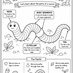 May include: A black and white educational coloring page titled WORM ANATOMY. It features a large illustrated worm with labels for head, body segments, clitellum, and tail. Includes a Fun Facts section with text about worm biology and small plants.