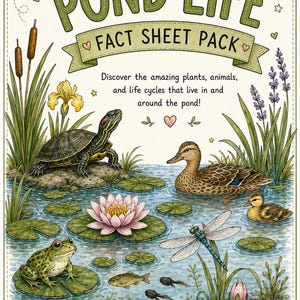 Pond Life Fact Sheet Pack | Animals, Plants, Life Cycles (19-Page PDF)