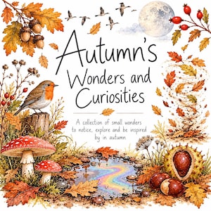 Könnte beinhalten: Ein Buchcover mit dem Titel Autumn's Wonders and Curiosities, das eine Aquarellillustration eines Rotkehlchens, roter Pilze, Eicheln, wirbelnder Herbstblätter, einer schillernden Pfütze und eines Vollmonds auf weißem Hintergrund zeigt.