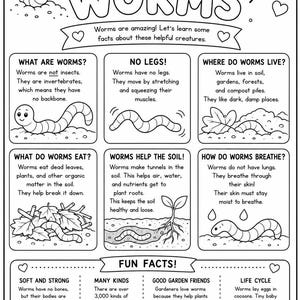 May include: A black and white educational worksheet titled All About Worms, featuring illustrations of worms and text explaining their biology, habitat, diet, and role in soil health, including a section for fun facts at the bottom of the page.