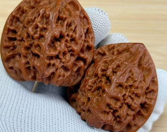 Paar natuurlijke walnoothouten oefen- en stressballen | Verzamelbare walnoten | ongeveer 4,5 cm | handmassageballen |