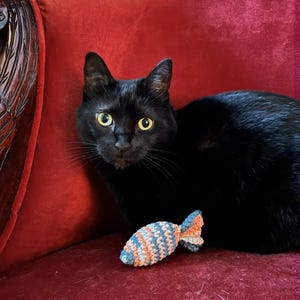 Puede incluir: Un gato negro con ojos amarillos está sentado en una silla de terciopelo rojo junto a un juguete de pez de ganchillo. El pez es azul, naranja y gris. El gato está mirando directamente a la cámara.