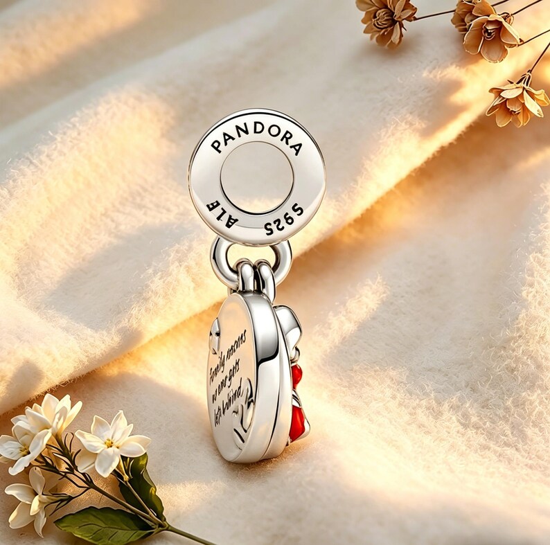 May include: A silver Pandora charm with the brand name and "S925 ALE" markings. The charm features a heart-shaped design with red accents and the inscription "Family moments are our greatest gifts left behind."