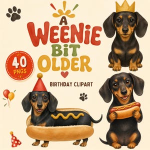 Könnte beinhalten: Digitales Geburtstags-Clipart-Set mit drei schwarz-braunen Dackeln. Einer trägt eine goldene Krone, einer eine rote Partykappe in einem Hot-Dog-Brötchen und einer hält einen Hot-Dog. Text: A WEENIE BIT OLDER und 40 PNGS mit Pfoten und Luftballons.