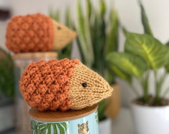 Hedgehogs Toy Knitting Pattern