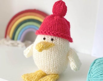 Sneaky Seagull Knitting Pattern