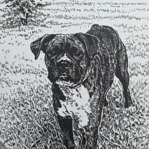 以下が含まれることがあります： 黒と白のペンとインクの絵で、背の高い草の中に立っているボクサー犬が描かれています。犬は白い胸と顔のマーキングをしています。背景には木々が見え、屋外のシーンを示唆しています。