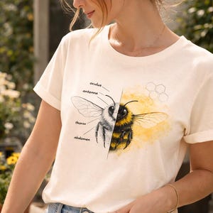Puede incluir: Camiseta color crema con una ilustración detallada de una abeja, dividida en dos mitades. Un lado muestra un dibujo detallado en blanco y negro, el otro una acuarela amarilla y negra. Etiquetada con "oculus", "antenna", "thorax" y "abdomen".