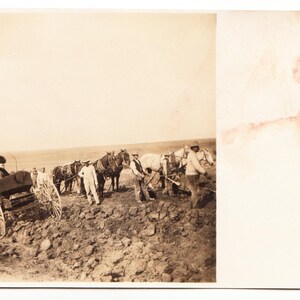 Farming Scene c.1907–1915 Postcard – RPPC Velox Real Photo – Horse Teams Road or Field Work – Woman in Buggy – Antique Rural Life