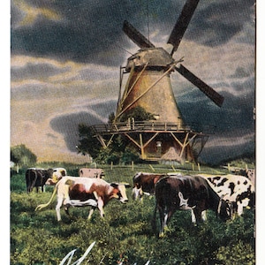 Peut inclure: Carte postale vintage représentant un moulin à vent hollandais et des vaches dans un champ. Le moulin a de grandes pales et se détache sur un ciel nuageux. Des vaches aux marques marron et blanches paissent au premier plan. Le mot "Mary" est écrit en cursive.