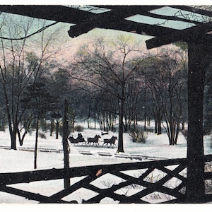 May include: A vintage postcard depicting a winter scene in Central Park, New York. A horse-drawn sleigh travels along a snow-covered path, surrounded by bare trees and a wooden structure. The text "Sleighing" is visible.