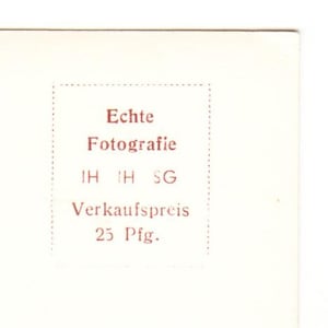 Brigitte Bardot c.1958–1965 Photo Finish Postcard – With Dog – Animal Rights Advocate – Vintage Celebrity Portrait image 5