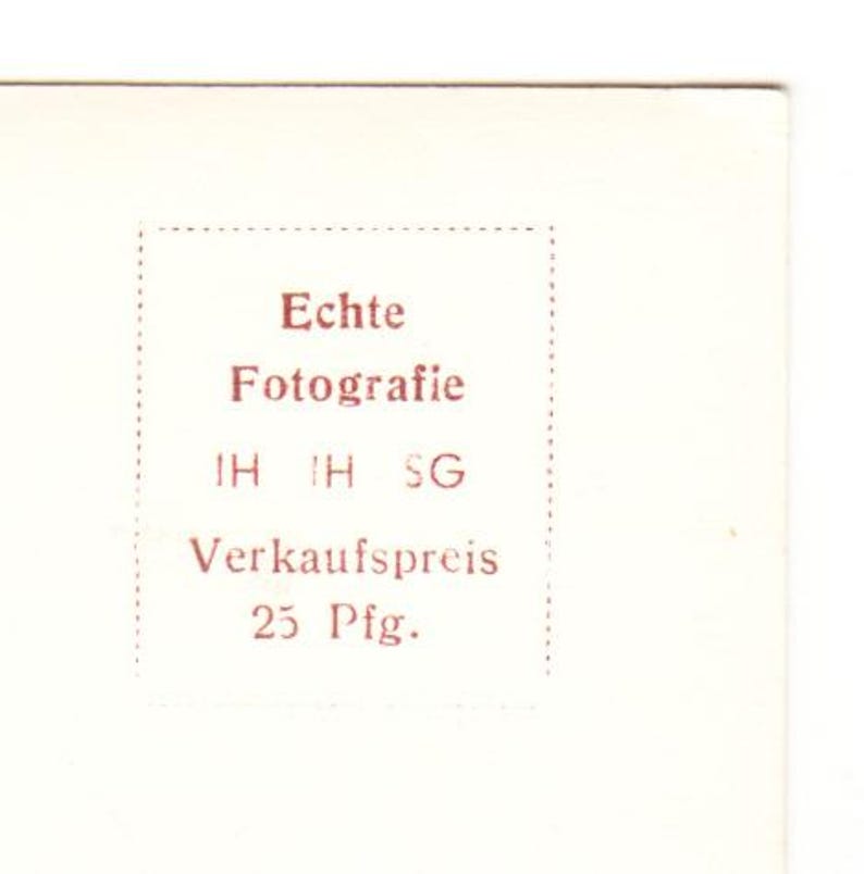 Brigitte Bardot c.1958–1965 Photo Finish Postcard – With Dog – Animal Rights Advocate – Vintage Celebrity Portrait image 5