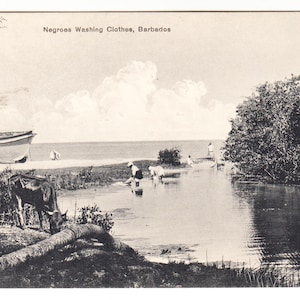 Op de afbeelding: Vintage zwart-wit ansichtkaart getiteld "Negroes Washing Clothes, Barbados." De afbeelding toont een serene waterlandschap met mensen die kleding wassen in een rivier, een boot aan de oever en een koe die in de buurt graast.