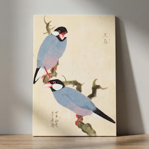 Op de afbeelding: Een canvas print met twee vogels op een tak. De vogels hebben blauwe en roze veren, zwarte koppen en rode snavels en poten. De achtergrond is lichtbeige, met Japanse tekst rechtsboven en linksonder.