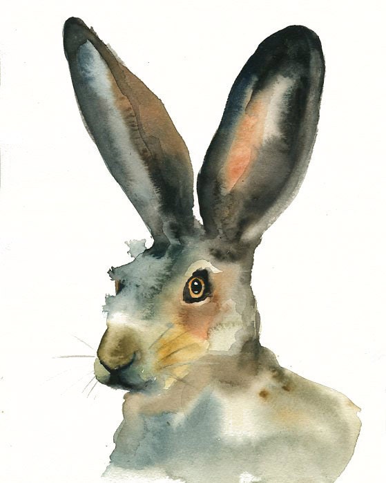 JACKRABBIT Art Print 8x10inchHome decorwall artanimal Etsy