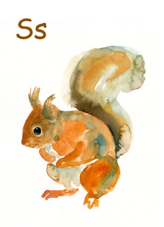 Items similar to ALPHABET ANIMAL S for Squirrel by DIMDImini 5x7 Print ...