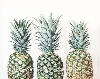 Food Photography- Three Pineapples Print, Kitchen Wall Art, Fruit Photography, Pineapple Photograph, Neutral Decor, Tropical Fruit Photo