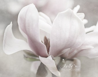 Flower Photography- Soft Pink Tulip Magnolia Photograph, Floral Wall Art,Feminine Decor,Soft Pastel Decor,Nature Photography,Botanical Print
