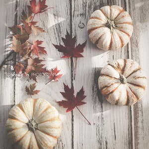 May include: Three white pumpkins with a ribbed texture sit on a whitewashed wooden surface. Red and brown maple leaves are scattered around the pumpkins.