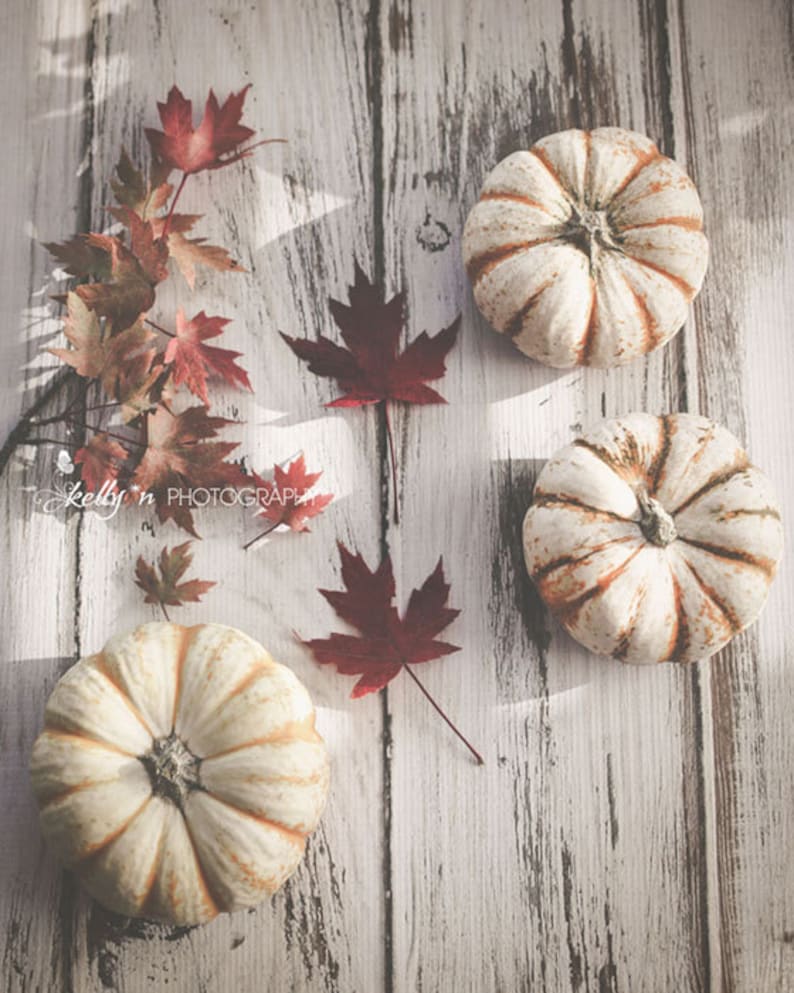 Autumn Photography Fall Decor, Pumpkins Maple Leaves Print, White Pumpkins Print, Red Maple Leaves, Autumn Still Life Photo, Cottage Decor image 1