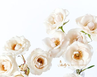 NEW! White Roses Photography- White Rose Floral Still Life, White Decor, Floral Wall Art, Farmhouse Decor, Cottage Decor, Feminine Decor