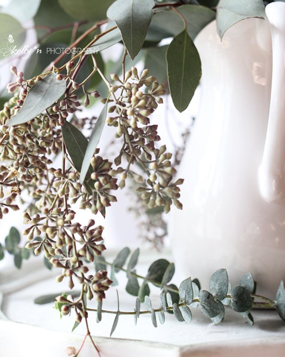 Eucalyptus Photo Botanical Print Plant Photography - Etsy