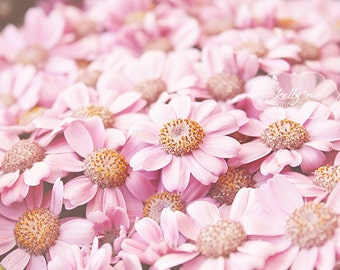 Flower Photography- Pink Daisies Photo, Nature Photography, Spring Flowers, Nursery Decor, Pink Floral Wall Art, Feminine Decor, Pink
