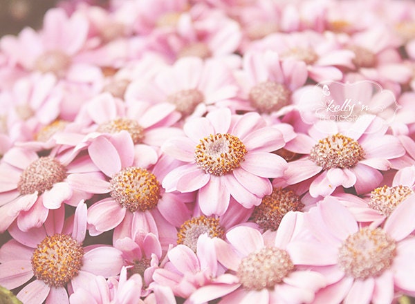 Pink Fine Art