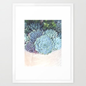 Succulents Photograph Botanical Print, Nature Photography, Mint Green Blue Cream, Home Decor, Escheveria, Succulent Wall Art, Garden Art image 3