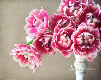 Tulip Photography- Floral Still Life, Pink Tulips Print, Flower Photography, Floral Wall Art, Pink White Flower Photo, Farmhouse Decor