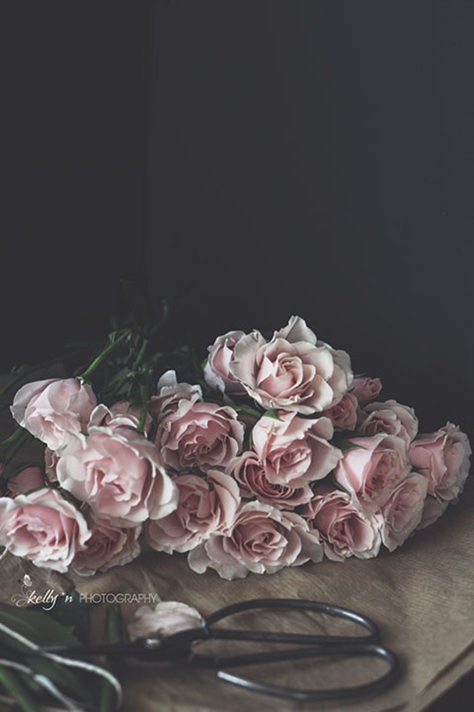 Still Life Photography Pink Roses Photograph, Dark Floral Still Life