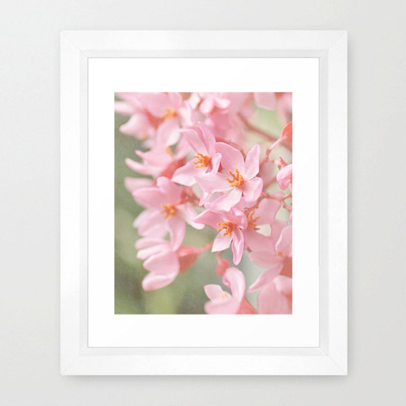 Pink Orange Art Garden Art Pink Flowers Photo- Nature Photography Flower Photography Floral Wall Art Pink Begonia Print BotanicalArt