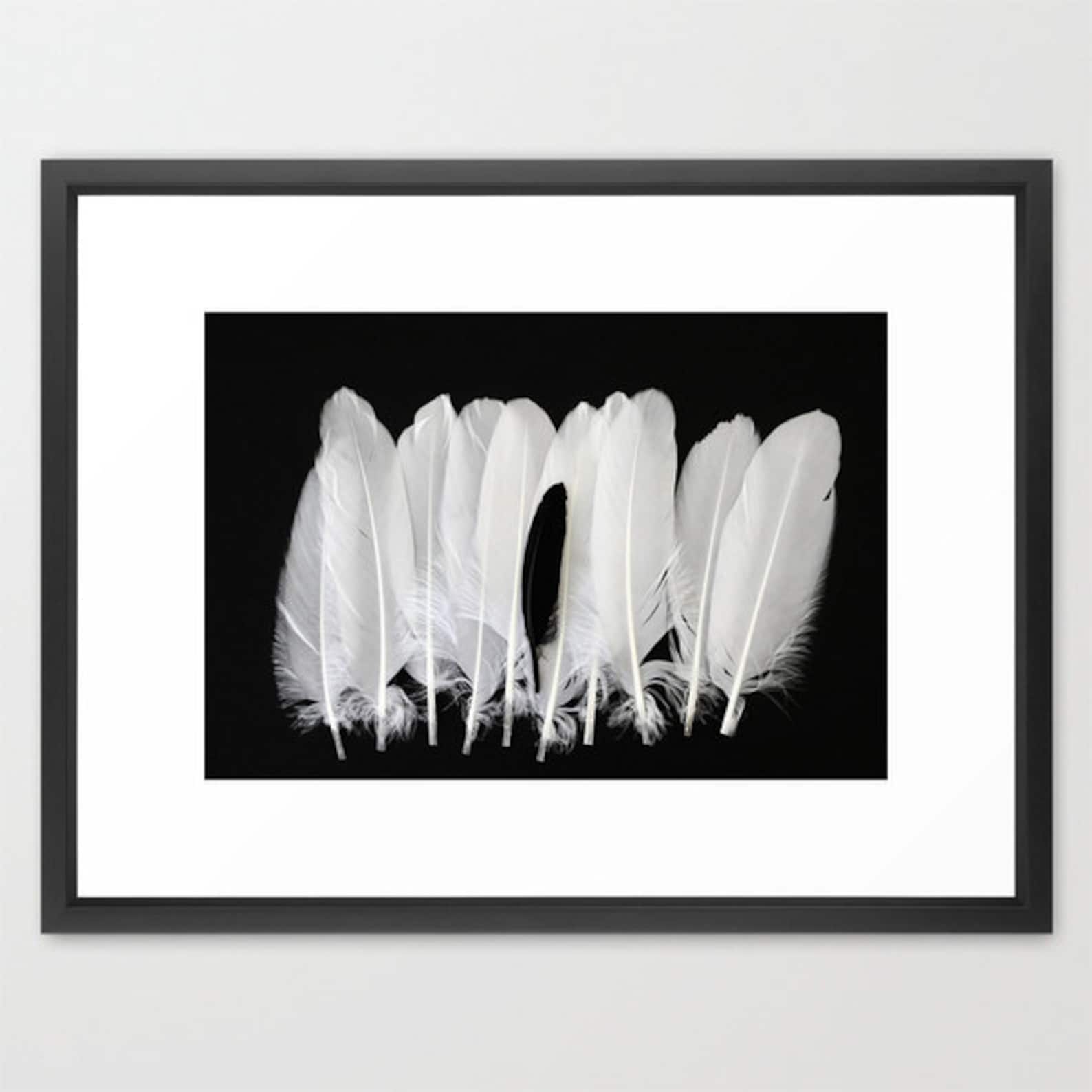 Feather Photography White Feathers Print One Black Feather Etsy
