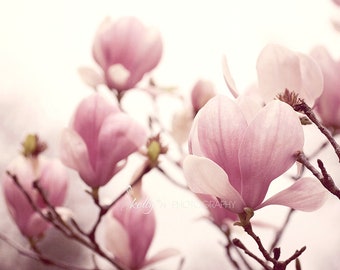 Nature Photography- Magnolia Flowers Photo, Tulip Magnolias, Pink Magnolia Photo, Flower Photography, Spring Flowers Print, Floral Art Print