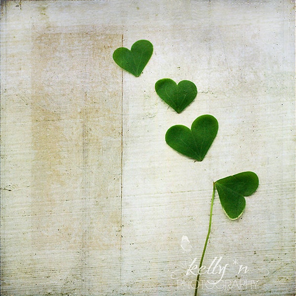 Still Life Photography- Shamrock Hearts Photograph, Lucky Clover Photograph, Nature Photography, Green Shamrock Hearts, Lucky Love Photo