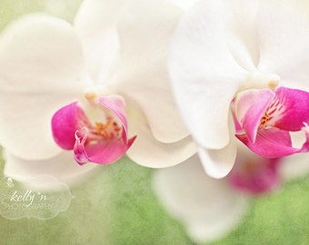 Orchid Photography- White Orchids- Pink Green White- Moth Orchids Photo- Floral Wall Art- Flower Photography- White Orchid Print