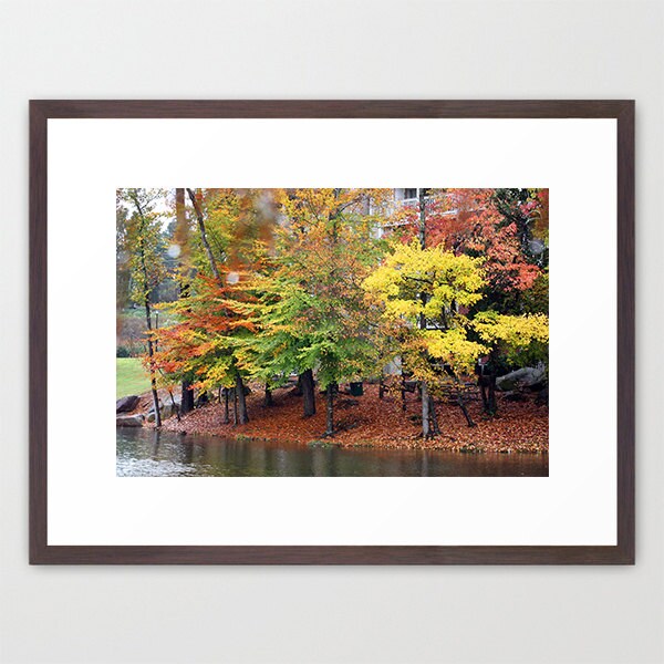 Fall Photography Autumn Trees Print Fall Foliage Landscape - Etsy