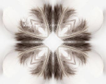 Abstract  Photography- Kaleidoscope Photo Print, Feather Photography, Feather Kaleidoscope, White Grey Art, Abstract Wall Art, Soft Grey Art