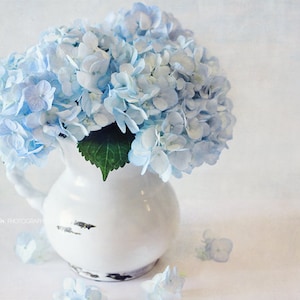 Fotografía de Hortensia- Impresión de Hortensia Azul, Arte Azul y Blanco, Vida Viva Floral, Decoración de La Casa, Fotografía de Flores, Arte Floral de la Pared
