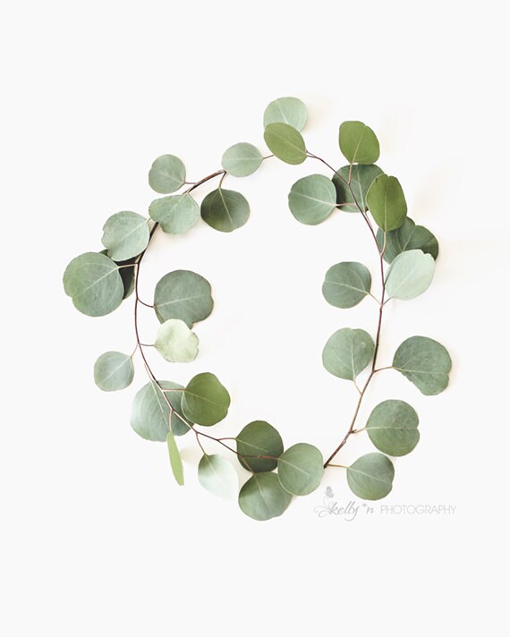 Silver Dollar Eucalyptus Watercolor Print Modern Decor Botanical Nature Art Scandinavian Nordic Design Minimalist Green Leaf Leaves Artwork