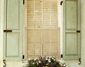 Windowbox Photography- Soft Green Shuttered Window Print, Charleston SC Window, Green Cream Decor, Flower Box Photo, Window Box Wall Art