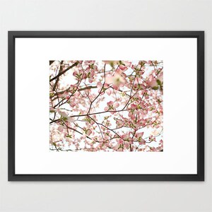 Pu&ograve; includere: Una vista ravvicinata di un ramo di albero con fiori rosa di corniolo in piena fioritura contro un cielo blu brillante.