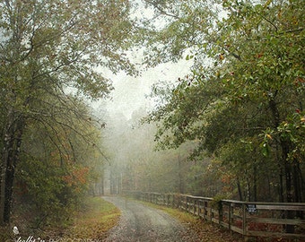 Landscape Photography- Foggy Tree Photo, Autumn Landscape Photograph, Country Road Print, Home Decor, Nature Photography, Rustic Wall Art