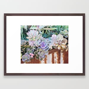 Succulents Photography Nature Photography, Garden Art, Botanical Print, Succulent Wall Art, Purple, Green Rustic Decor, Desert Plants Photo image 2