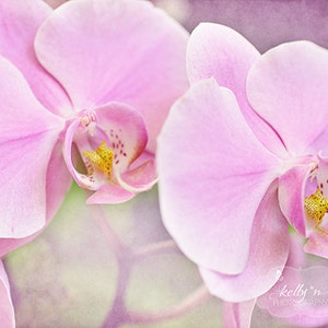 Pink Orchids Photography- Dreamy Soft Orchid Print, Pink Purple Pastel Decor, Flower Photography, Orchid Photography, Pink Orchid Wall Art