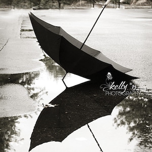 Black and White Photography Black Umbrella Photograph, Water Reflection, Still Life Photo, Rainy Day Print, Black White Grey Wall Art image 1