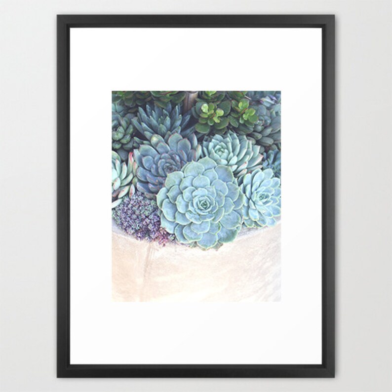 Succulents Photograph Botanical Print, Nature Photography, Mint Green Blue Cream, Home Decor, Escheveria, Succulent Wall Art, Garden Art image 2